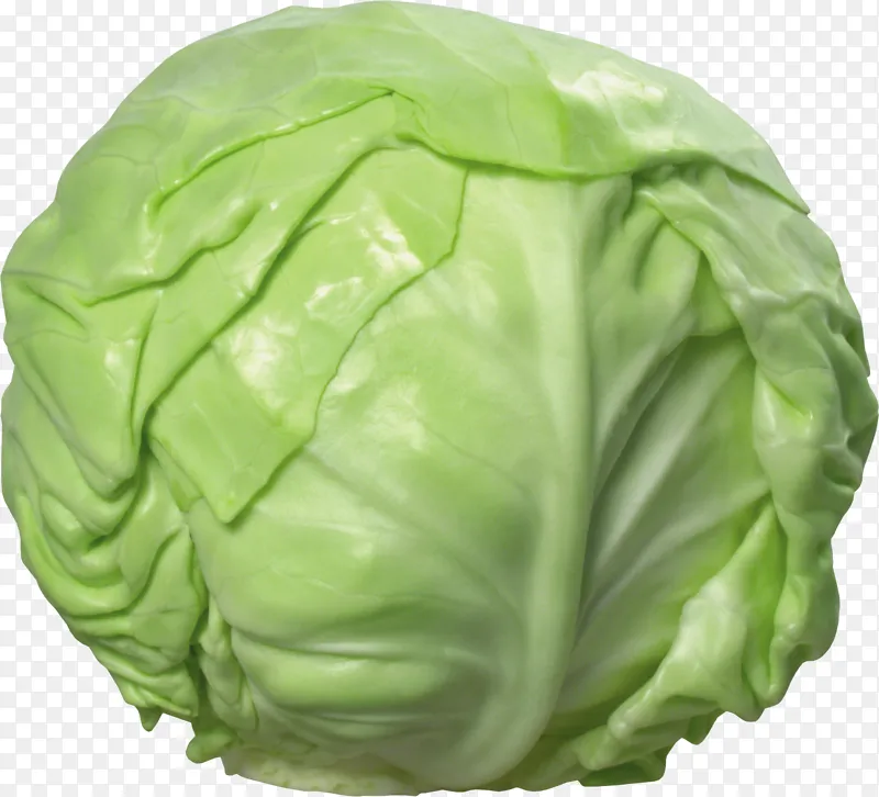 甘蓝包菜蔬菜