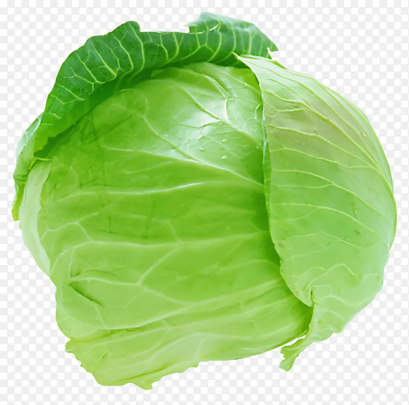 一个甘蓝
