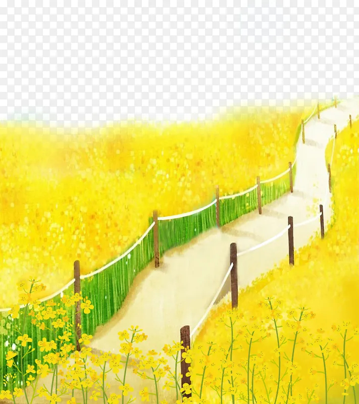 油菜花开春天插画PNG图片素材下载_图片编号zqwkolbrxq-免抠素材网