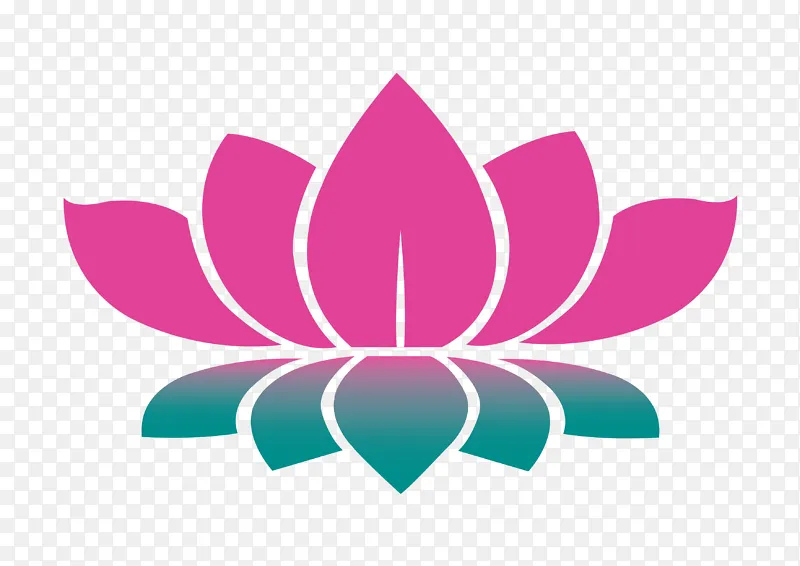 彩色卡通莲花